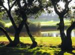 Golf Blue Green Savenay